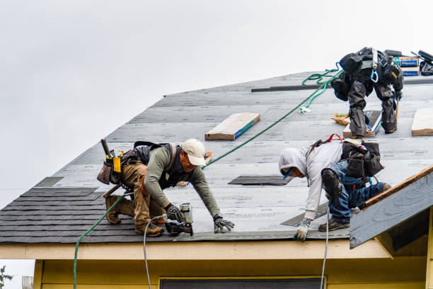 Professional Emergency Roof Repair technician working in Martindale, TX